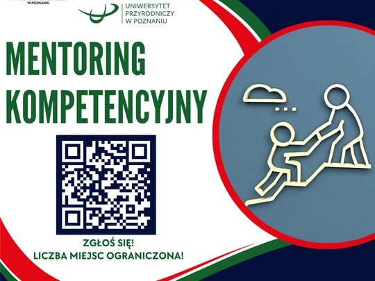 Mentoring kompetencyjny - grafika