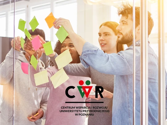 Grupa naklejająca kolorowe karteczki podczas szkolenia